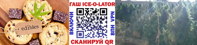Canna-Cookies марихуана  дарнет шоп  Снежногорск 