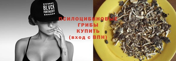 марихуана Новозыбков