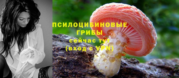 ALPHA PVP Кулебаки