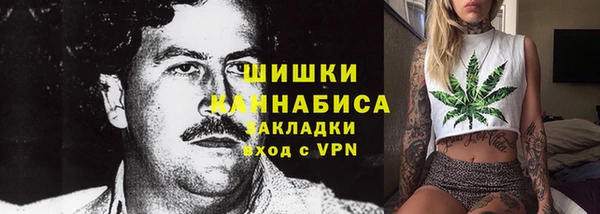 дмт Пестово
